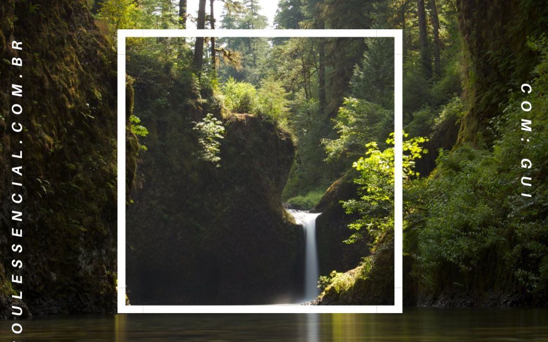 conexao-natureza-terapia